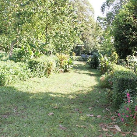 הוילה Sao Jose Bema Farm מראה חיצוני תמונה