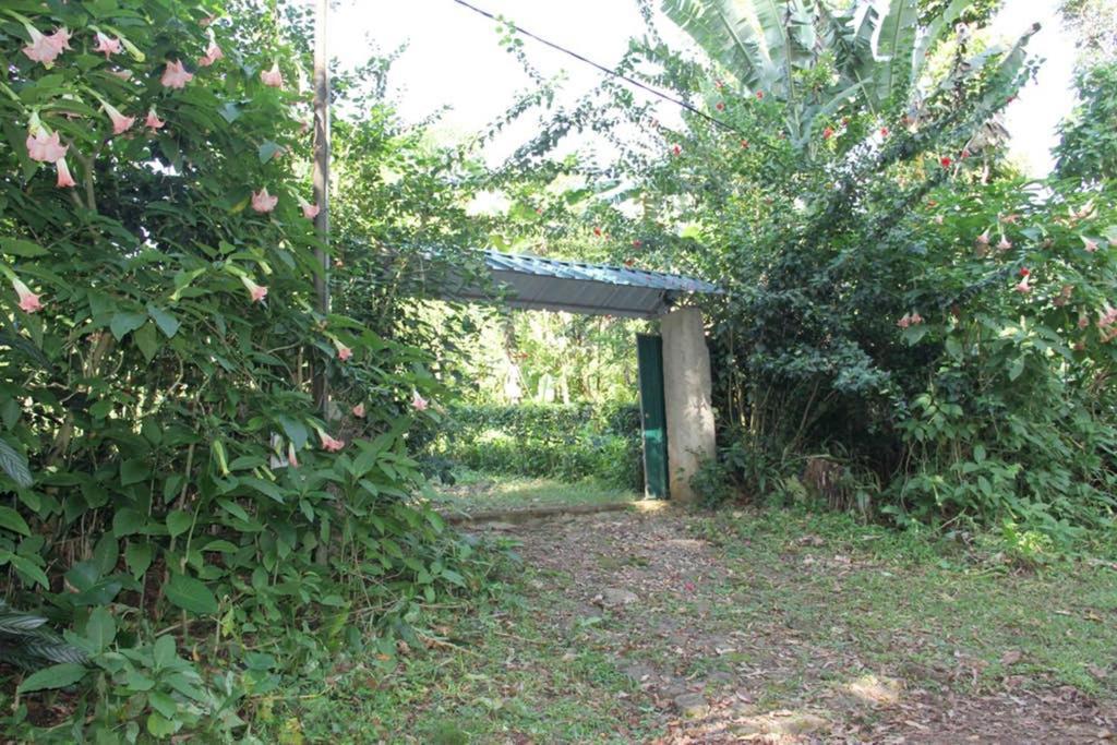 הוילה Sao Jose Bema Farm מראה חיצוני תמונה