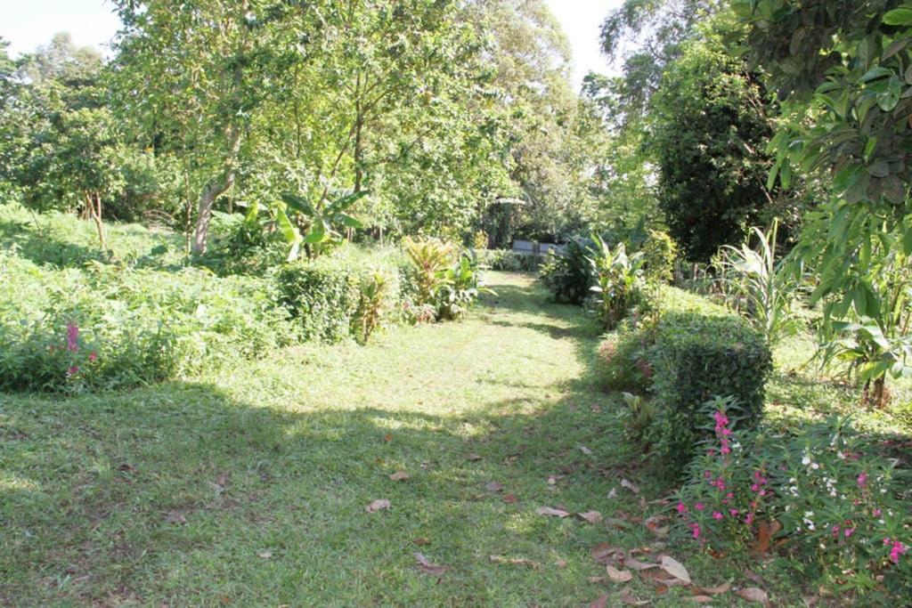 הוילה Sao Jose Bema Farm מראה חיצוני תמונה